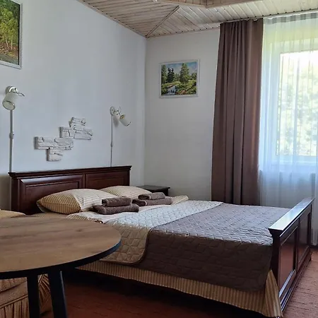 Hollywood Guest house Yaremche