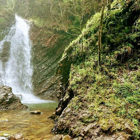 Hollywood * Yaremche